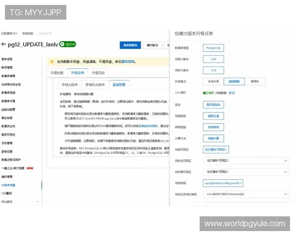 PG官方网站全面解析最新游戏资讯与平台服务优化措施引发玩家热议