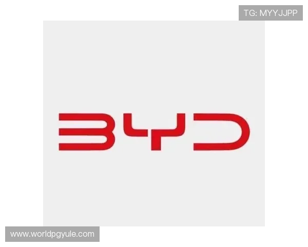 PG电子登录入口官方平台，安全稳定的登录通道推荐